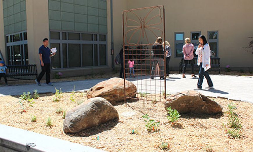 City’s Demonstration Garden to Draw Crucial Pollinators