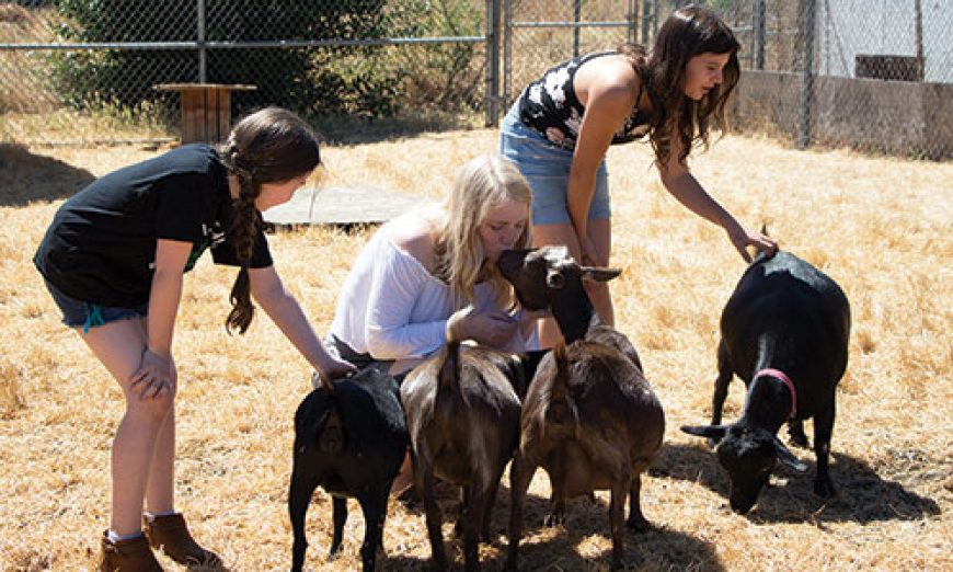 Santa Clara’s Homesteaders 4-H Club Makes The Best Better