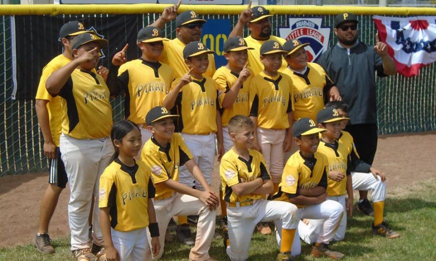 Briarwood Little League