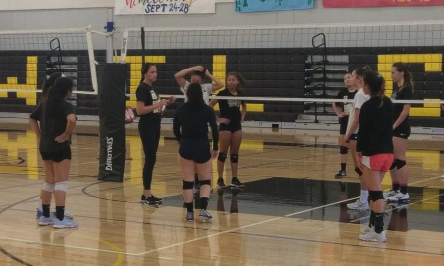 Wilcox Volleyball