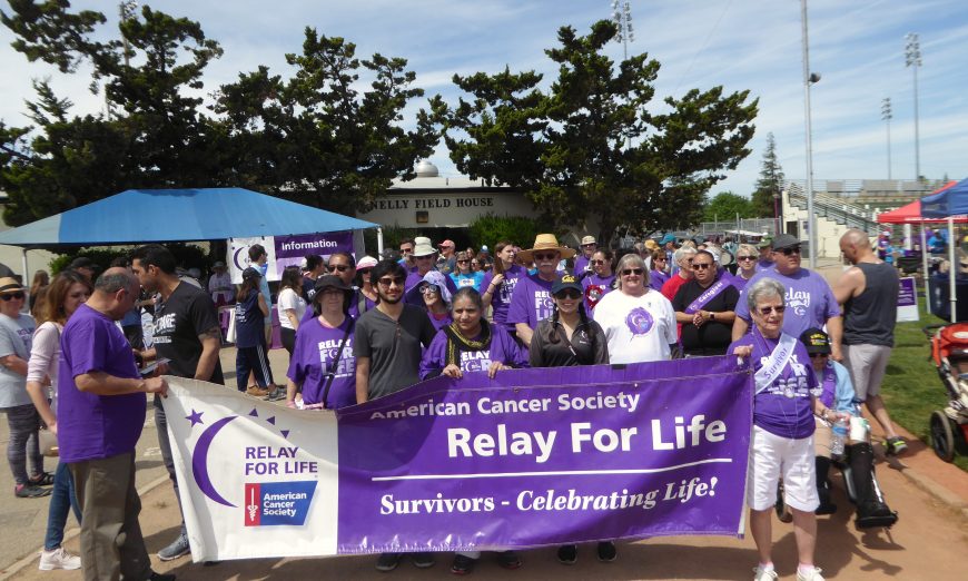 The American Cancer Society