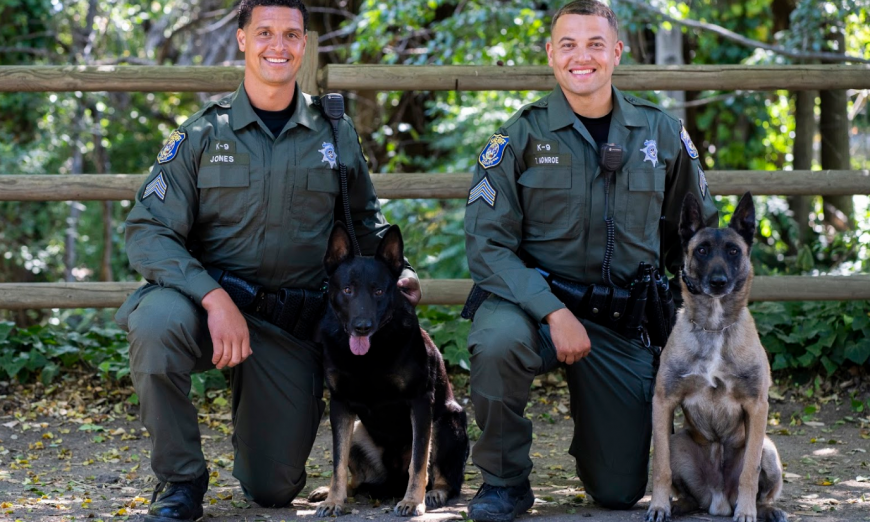 Sean’s K9s Police Dogs Sean Walsh luau