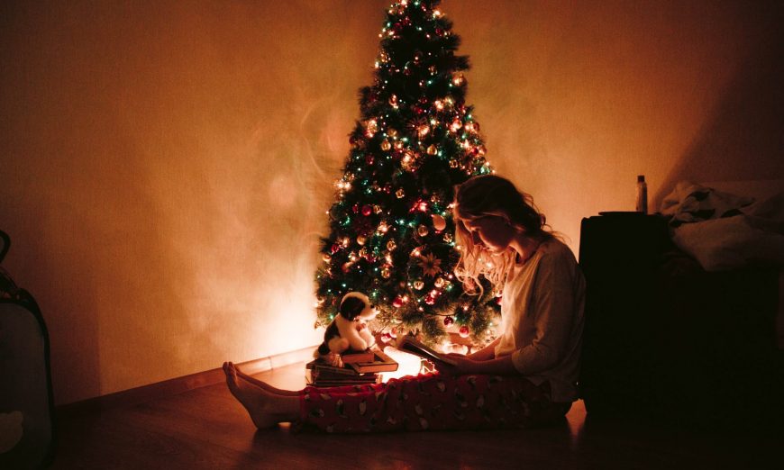If you're wishing for a Literary Christmas, our Associate Editor, Carolyn, has some ideas for a Christmas story or two to add to your collection.
