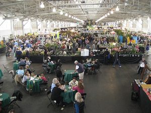 Days of Wine and Orchids