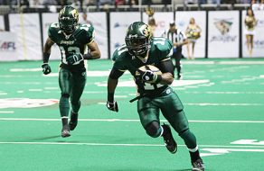 Sabercats