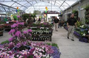 SummerWinds Nursery Breezes into Santa Clara