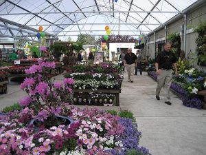 SummerWinds Nursery Breezes into Santa Clara