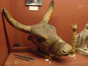 Museum Houses Ancient Egyptian Artifacts