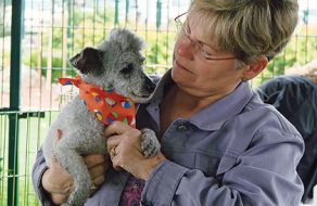 HSSV Celebrates Small Breed Dogs