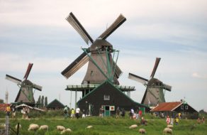 Going Dutch