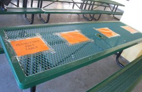 Peanut and Nut-Free Lunch Tables Give Parents Relief