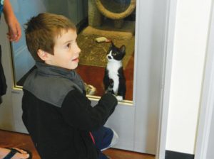 Walking in a Whisker Wonderland at SVACA