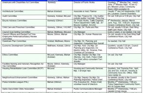 Council Representation on City Committees