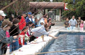A Fin-Filled Tradition