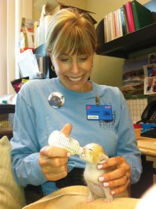 Passion for the Purr