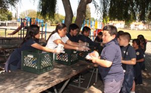 YMCA of Silicon Valley: Strengthening Community