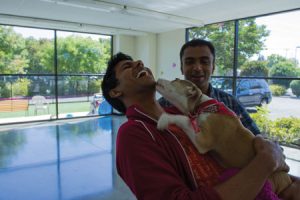 HSSV, SVACA Find Homes For 58 Animals