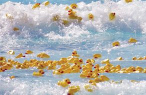 Ducky Derby