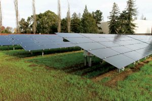 SVP’s New Solar Array is an All-Around Win