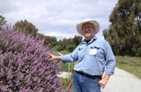 Ulistac Natural Area Celebrates Wildflower Day