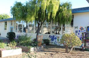 Girl Scout Troop 60326 Helps to Green Westwood Elementary School