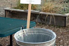 Westwood Elementary Goes Green