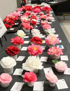 Camellia Flower Show