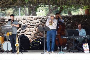 Concerts in the Park Series Winding Down