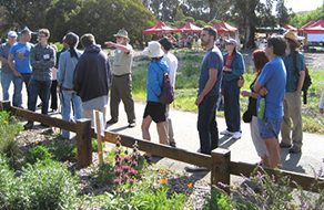 Wildflower Day at Ulistac