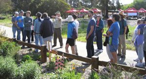 Wildflower Day at Ulistac