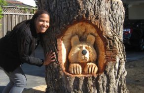 Three Bears Spotted on Pruneridge