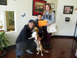 Thanks to Maddie’s Fund, SVACA Nearly Empty