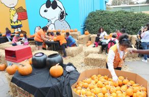 Great America’s Great Pumpkin Fest Offers Non-Scary Delights