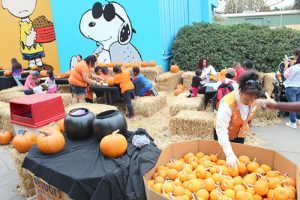 Great America’s Great Pumpkin Fest Offers Non-Scary Delights