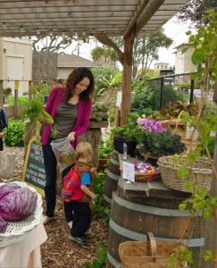 SCU Educates Community While Improving Access to Fresh Produce