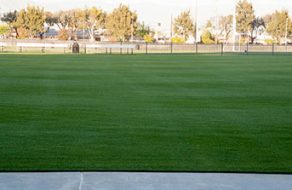 Soccer Field Restoration