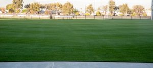 Soccer Field Restoration