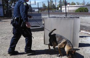 Game’s On As Police K9s Sniff Out Crime