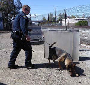 Game’s On As Police K9s Sniff Out Crime
