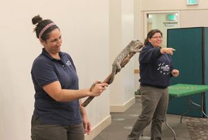 “Spirit of the Rainforest” Brought to Central Park Library