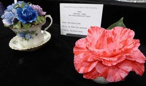 76th Annual Camellia Show Spectacular Despite the Weather