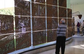 “Triton’s Artist Reception: A Natural Success”