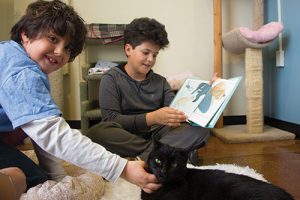 Kiddies 2 Kitties Socializes Cats, Encourages Kids to Read