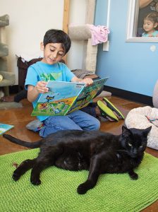 Northside Library Teams Up with SVACA, PAHS