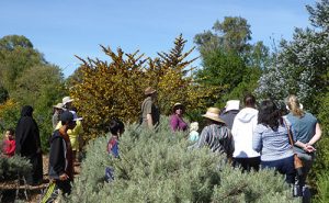 Wild and Wonderful-Ulistac Natural Area