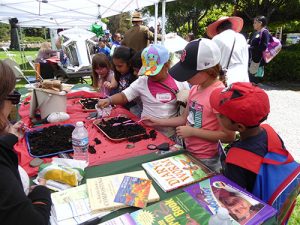 Celebrating Arbor Day under a Shady Tree