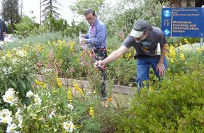 Going Native Garden Tour Inspires Gardeners To Be Water Wise