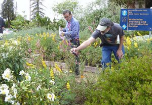 Going Native Garden Tour Inspires Gardeners To Be Water Wise