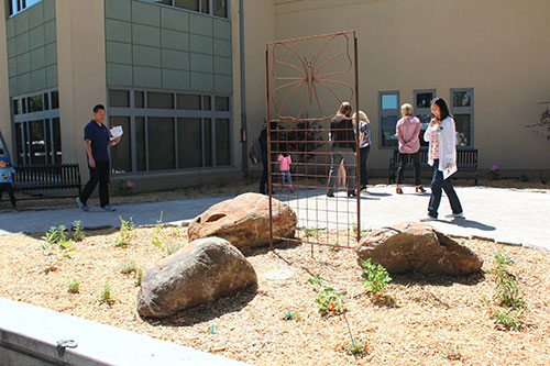 City’s Demonstration Garden to Draw Crucial Pollinators