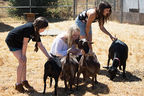 Santa Clara’s Homesteaders 4-H Club Makes The Best Better